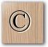 Písmeno ©